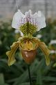 EOS_20080203_0311