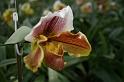EOS_20080203_0313