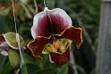 EOS_20080203_0315