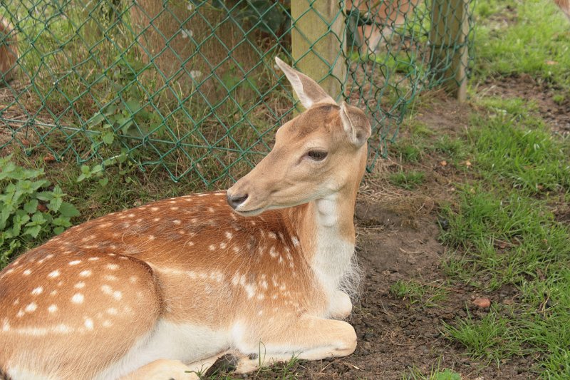 EBL_20110626_011459.JPG