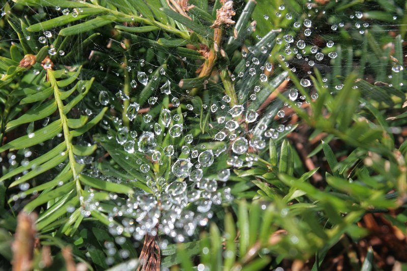 EBL_20110626_011478.JPG
