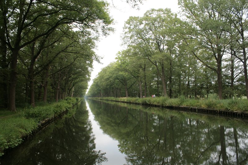 EBL_20110626_011499.JPG
