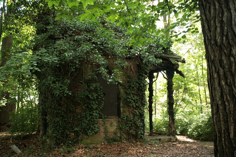 EBL_20110626_011527.JPG