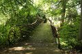 EBL_20110626_011519