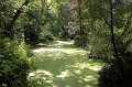EBL_20110626_011521