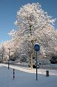 EBL_20100103_6541