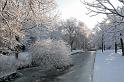 EBL_20100103_6547