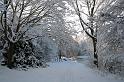EBL_20100103_6549