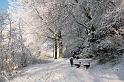 EBL_20100103_6552