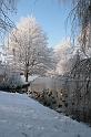EBL_20100103_6559
