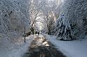EBL_20100103_6560
