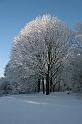 EBL_20100103_6564