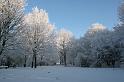 EBL_20100103_6571