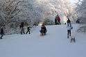 EBL_20100103_6584
