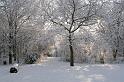 EBL_20100103_6587