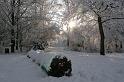 EBL_20100103_6592