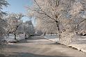 EBL_20100103_6599