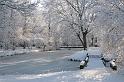 EBL_20100103_6612