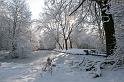 EBL_20100103_6616