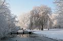 EBL_20100103_6621