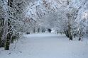 EBL_20100103_6625