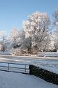 EBL_20100103_6626