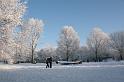 EBL_20100103_6634