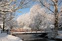 EBL_20100103_6637