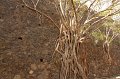 EBL_20180523_113615_030569