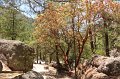 EBL_20180523_150419_030776