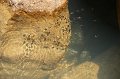 EBL_20180523_152300_030799