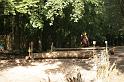 EBL_20090823_5503