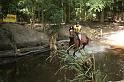 EBL_20090823_5514