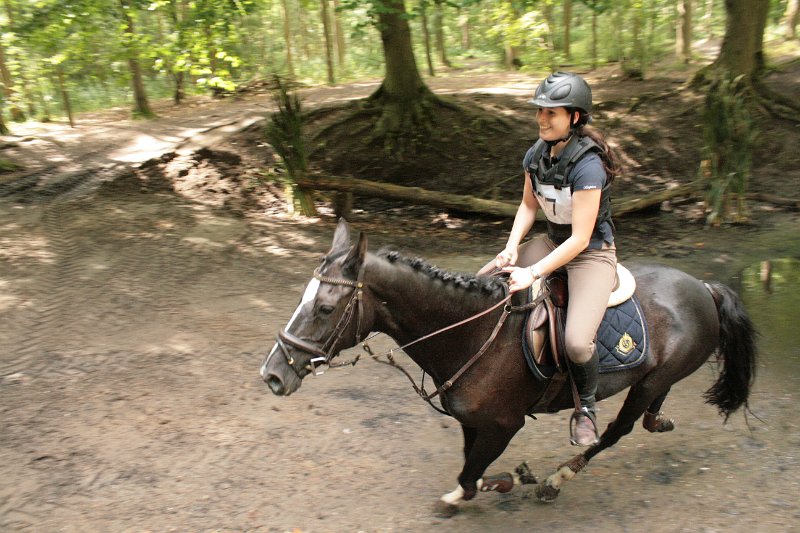 EBL_20110820_013315.JPG