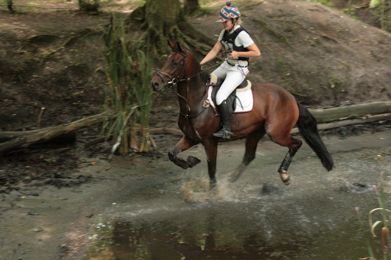 EBL_20110821_013551.JPG