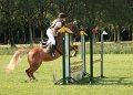 EBL_20110820_013432_v2