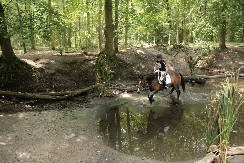 EBL_20110820_013410.JPG