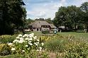 EBL_20100718_7743